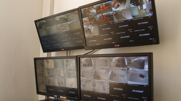 pensiune animale USAMVB