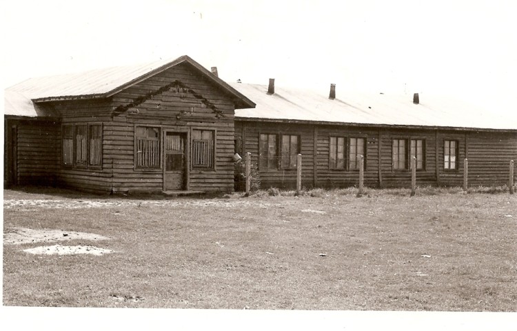 1946mosnita