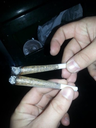 etnobotanice