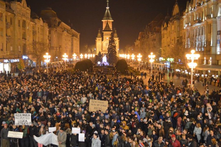 protest timisoara