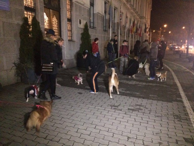protest eutanasiere 