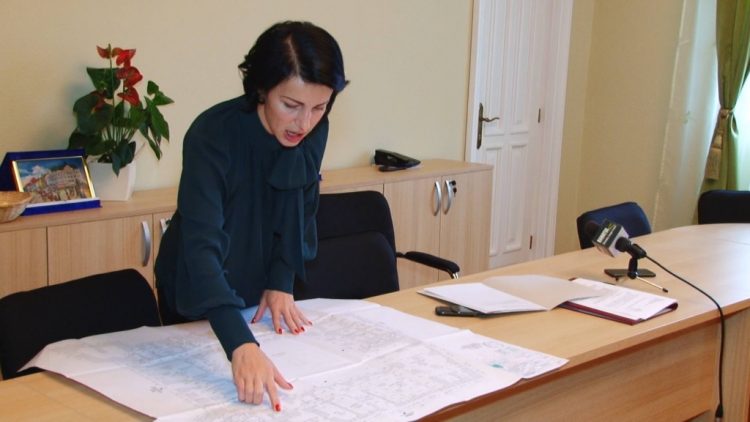roxana iliescu