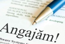 Ai rămas șomer? Sunt locuri de muncă disponibile în Europa!