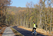 Strategia pentru realizarea pistelor de biciclete în Județul Timiș – „VELO-TIMIȘ”, în transparență decizională pista-biciclete