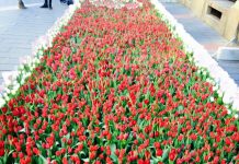 Primul festival al florilor organizat de municipalitate se va desfăşura între 22-24 mai