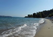 Programul “Litoralul pentru Toți”. Vezi PREŢURI ORIENTATIVE