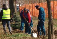 Municipalitatea are primele contracte pentru îngrijirea parcurilor