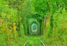 Tunelul iubirii! Un loc din BANAT absolut incantator si o perla ascunsa a Europei