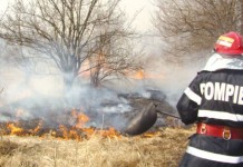 Garda Națională de Mediu: Arderile de miriști și vegetație uscată sunt interzise și sever sancționate