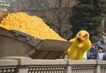 Festivalul Bega Bulevard, aproape de start! Vezi aici programul complet