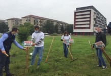 Proiect de HCL inițiat de consilierii ALDE Timiș împotriva ambroziei, uitat pe rafturile Primăriei Timișoara