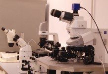 Programul unic în România de internship pentru studenții UMF Timișoara care vor să descopere ce înseamnă onco-paliația