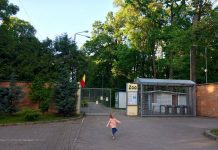 Sărbătoare la Grădina Zoologică! În centrul atenției vor fi micuții