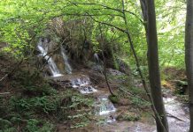 Drumeție de un weekend în localitatea Gârnic. Morile de apă, peșterile Gaura cu Muscă, Peștera Gaura Turkului sau Grota Haiducească, printre obiectivele turistice