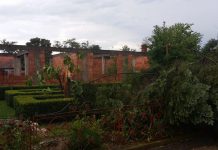 Zeci de copaci rupți și acoperișuri smulse în câteva minute