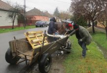 Circulația atelajelor, tineri care tulbură liniștea… Problemele semnalate în cartierele Soarelui și Ciarda Roșie