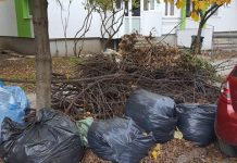 A început colectarea deșeurilor vegetale și a deșeurilor provenite din construcții și demolări, la Timișoara