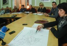 Întâlnire de urgență la CJ Timiș cu reprezentanții societăților de deszăpezire