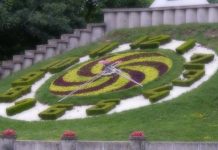 Ceasul floral, la anul și la mulți ani? Ce spun cei din primărie