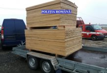 Cercetat pentru conducerea unui vehicul neînmatriculat cu permis necorespunzător