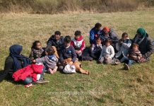 14 cetăţeni din Yemen, Irak și Siria, dintre care 9 copii, depistaţi la frontiera cu Serbia