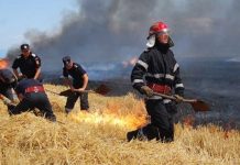 Atenție,nu mai ardeți vegetația! Nu mai primiți bani de la APIA