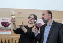 Surpriza VINVEST în 2017: se degustă șampanii originare din regiunea Champagne, Franța
