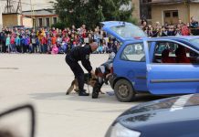 De ziua lor, jandarmii fac cinste