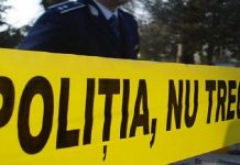 Crimă în Timiș! Un bărbat a fost decapitat cu o drujbă, noaptea trecută
