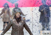 FEST-FDR2017 a inceput la Timisoara!