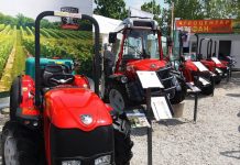 Agricultorii timișeni, invitați la Novi Sad, la un târg de profil! CCIAT organizează o misiune economică în Serbia