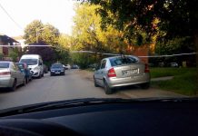 Un vizitator din „Manhattan” si-a gasit loc pe trotur!