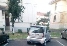 Mic, mic, dar mare nesimtit!