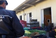 A ”plouat” cu amenzi la Piața de Gros! Câți comercianți au fost amendați?