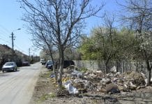 Primăria Timișoara își face oficial firmă de măturat străzile