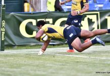 SIMPLY THE BEST! Timisoara Saracens si-a aparat cu succes titlul de campioana
