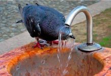 Cel mai fierbinte weekend de până acum! Coduri roşii, portocalii şi galbene în toată ţara