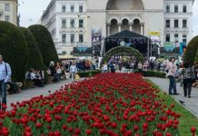 Vremea va fi uşor instabilă. PROGNOZA METEO pentru sfârşitul săptămânii