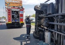 Impact între coloși lângă Lugoj: 4 victime