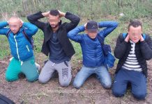 Cinci irakieni călăuziţi de un cetăţean sârb, opriţi la frontiera cu Serbia