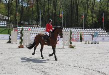 Premii de aproape 60.000 de euro în ultima zi de concurs de la Herneacova International Jumping