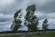 Atenție! Cod Portocaliu în Timiș