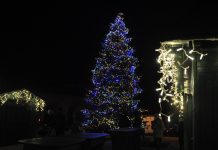 Se apropie sărbătorile de iarnă! Consiliul Județean Timiș pregătește primul Parc al Crăciunului din vestul țării