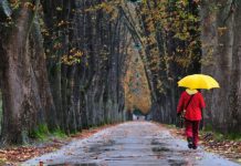 Vreme INCHISA in weekend! Vezi ce ne asteapta in urmatoarele zilei