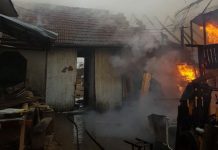 Incendiu violent într-o gospodărie din Timiș! Două ore s-au luptat pompierii cu flăcările