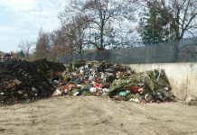 Una dintre marile nevoi ale Timișoarei în 2025: un cimitir nou!