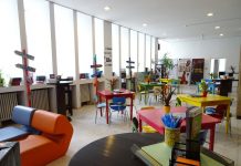 Ziua porților deschise la Casa Tineretului din Timişoara!