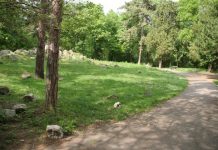 Iluminat public pentru prima dată Parcul Botanic din Timișoara! Investiția este realizată din fonduri europene