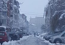 500 de străzi din Timișoara pe care nu s-a intervenit deloc după ninsoare! Un real pericol pentru șoferi