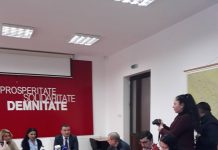 Sorina Pintea: „Centrele de permanenta din Timis sunt ineficiente!”